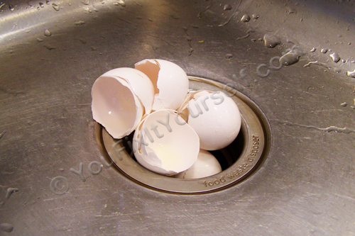 Eggshells in garbage disposal - good or bad?